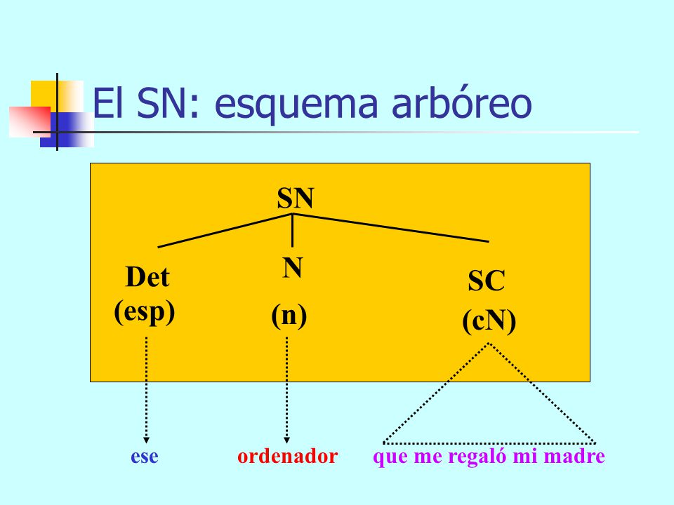 El SN: esquema arbóreo SN N Det SC (esp) (n) (cN) ese ordenador