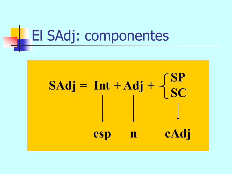 El SAdj: componentes SP SC SAdj = Int + Adj + esp n cAdj