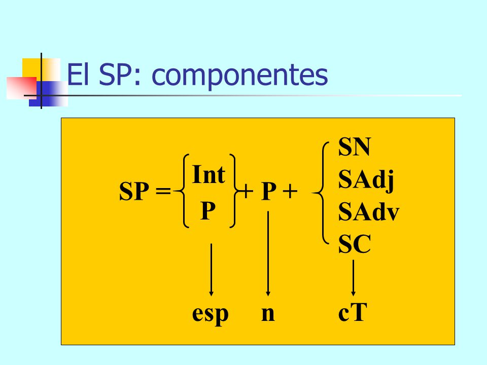 El SP: componentes SN SAdj SAdv SC Int SP = + P + P esp n cT