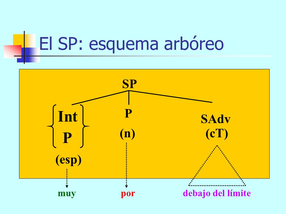 El SP: esquema arbóreo Int P SP P SAdv (n) (cT) (esp)