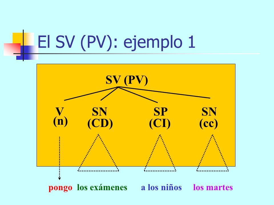 El SV (PV): ejemplo 1 SV (PV) V SN SP SN (n) (CD) (CI) (cc)
