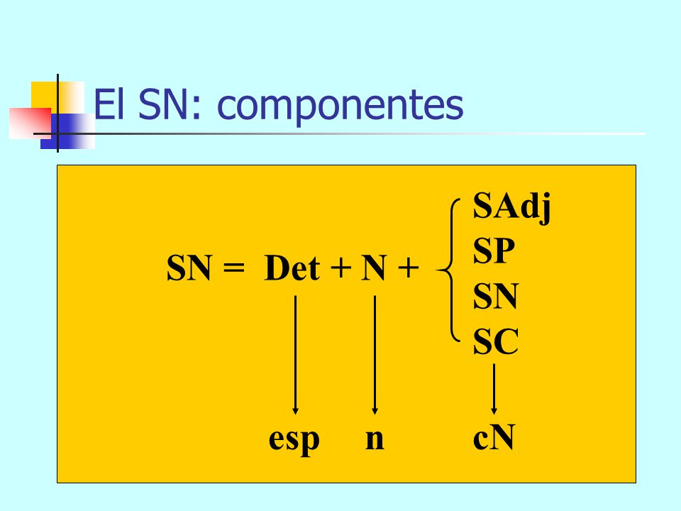 El SN: componentes SAdj SP SN SC SN = Det + N + esp n cN