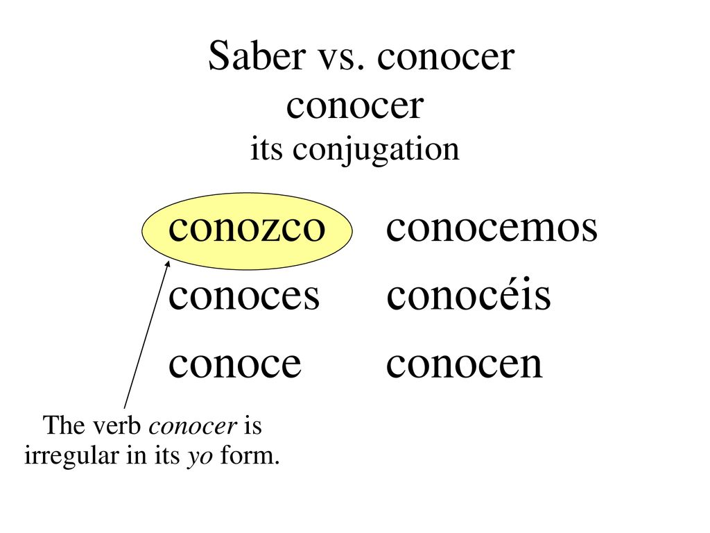 The verb conocer is irregular in its yo form.