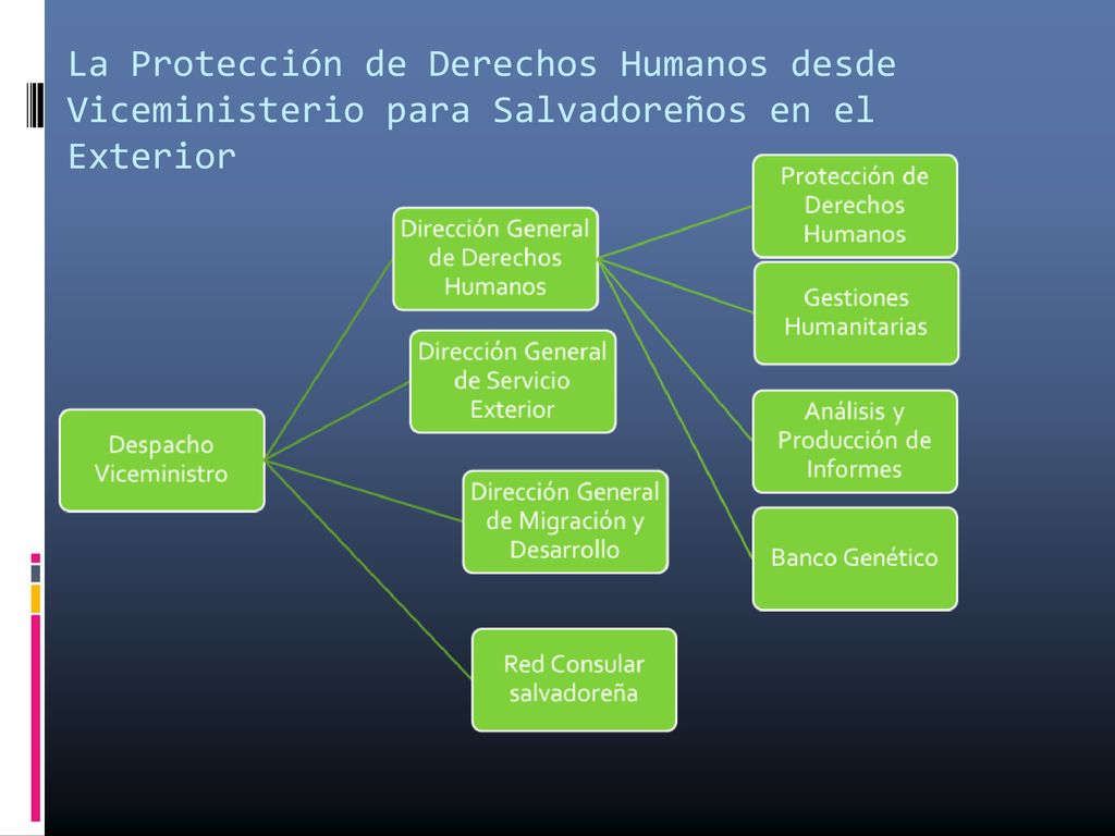 La Protección de Derechos Humanos desde Viceministerio para Salvadoreños en el Exterior