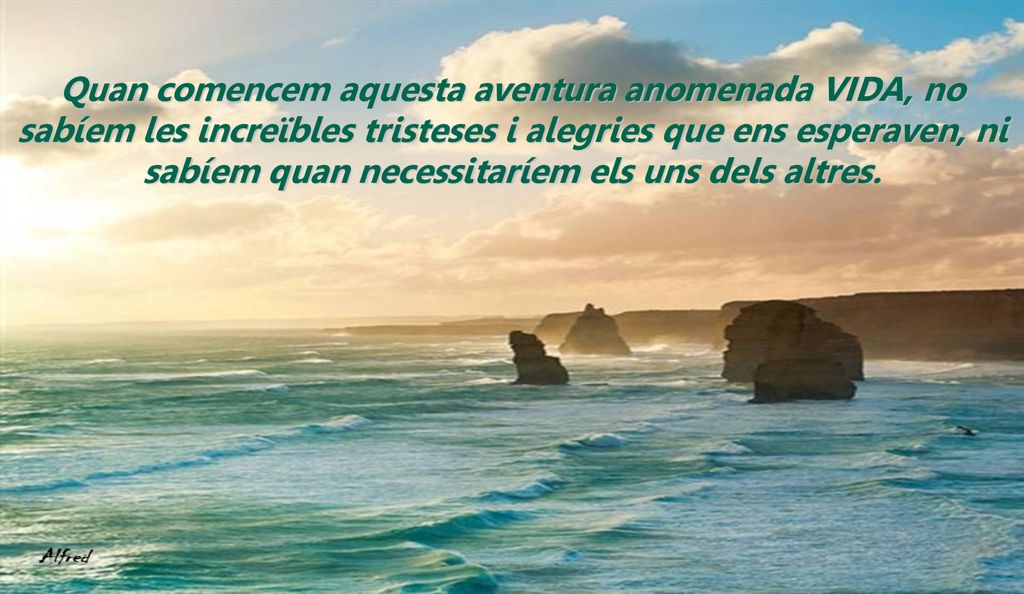 Quan comencem aquesta aventura anomenada VIDA, no sabíem les increïbles tristeses i alegries que ens esperaven, ni sabíem quan necessitaríem els uns dels altres.