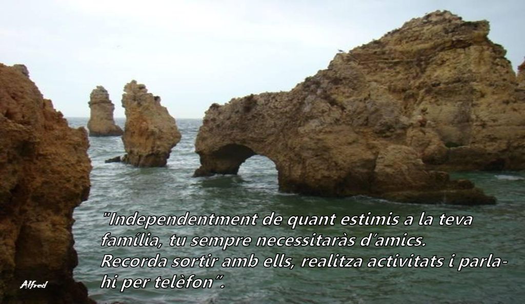 Independentment de quant estimis a la teva família, tu sempre necessitaràs d’amics.