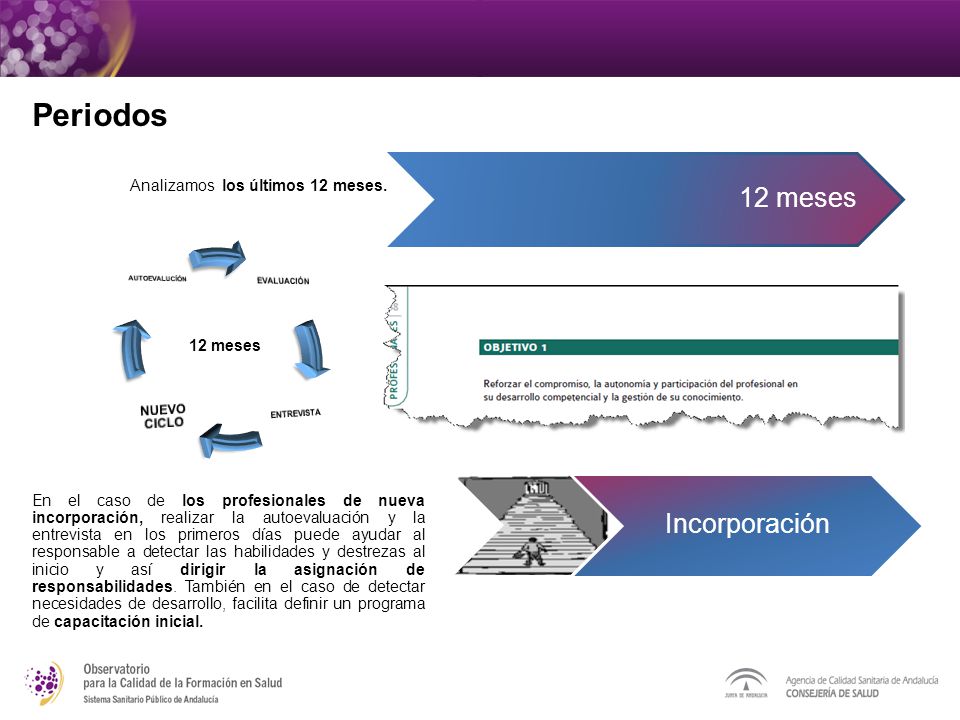 Periodos Incorporación 12 meses Analizamos los últimos 12 meses.