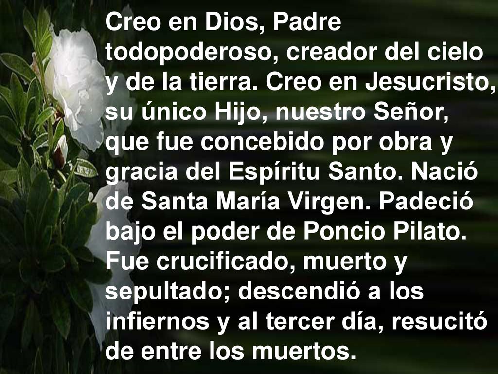 Creo en Dios, Padre todopoderoso, creador del cielo. y de la tierra. Creo en Jesucristo, su único Hijo, nuestro Señor,