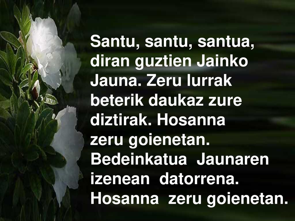 Santu, santu, santua, diran guztien Jainko. Jauna. Zeru lurrak. beterik daukaz zure. diztirak. Hosanna.