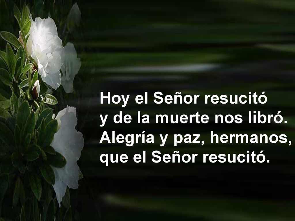 Hoy el Señor resucitó y de la muerte nos libró. Alegría y paz, hermanos, que el Señor resucitó.