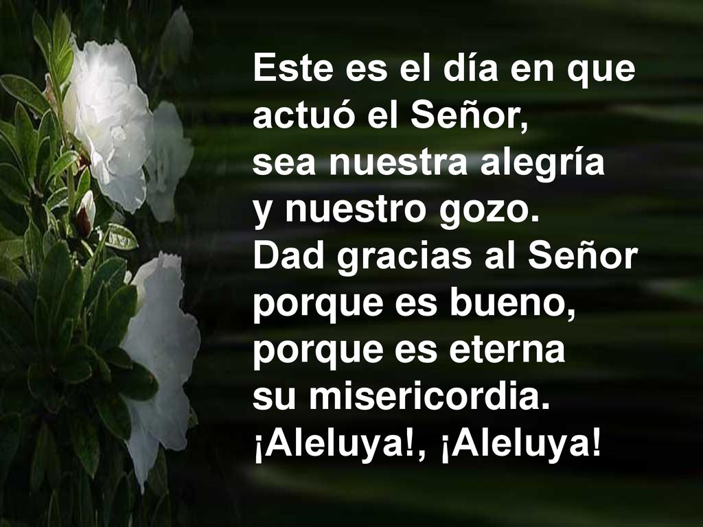 Este es el día en que actuó el Señor, sea nuestra alegría. y nuestro gozo. Dad gracias al Señor. porque es bueno,