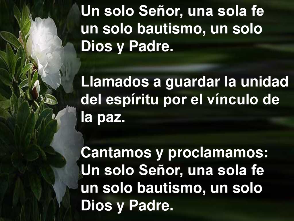 Un solo Señor, una sola fe un solo bautismo, un solo