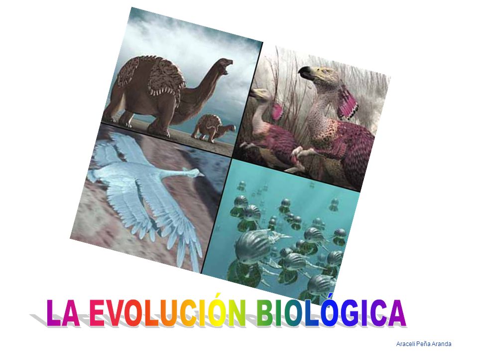 LA EVOLUCIÓN BIOLÓGICA