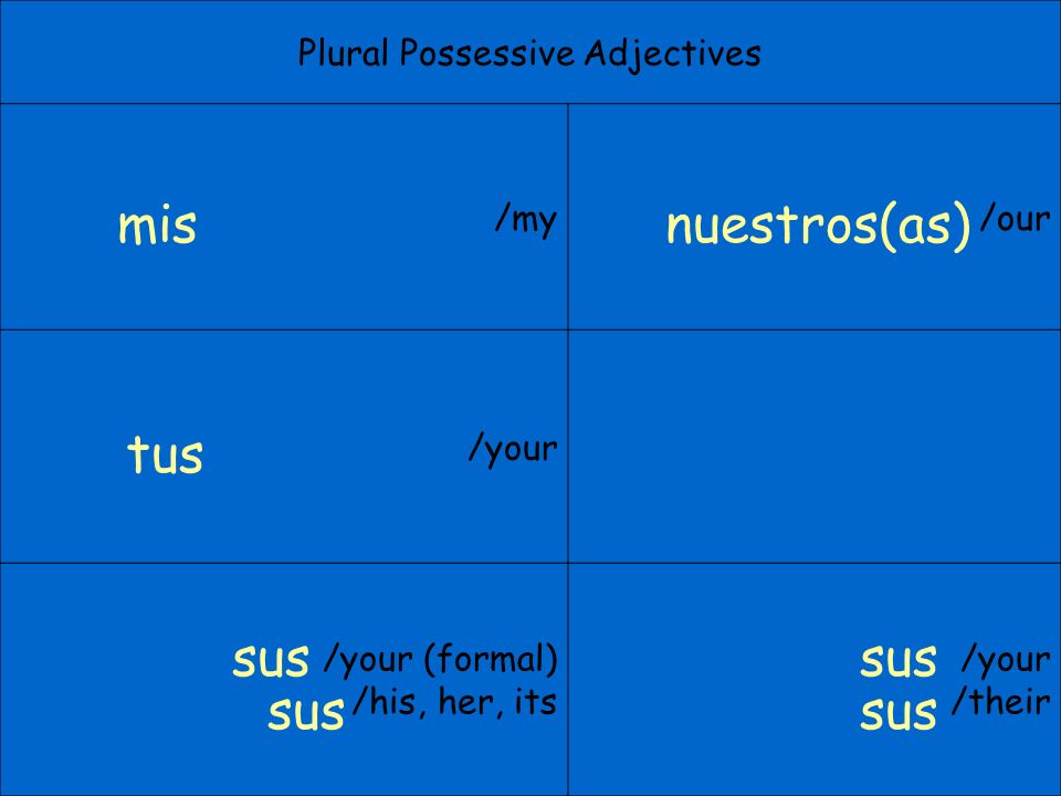 Plural Possessive Adjectives