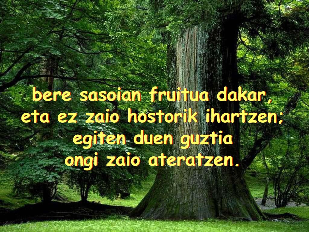bere sasoian fruitua dakar, eta ez zaio hostorik ihartzen;