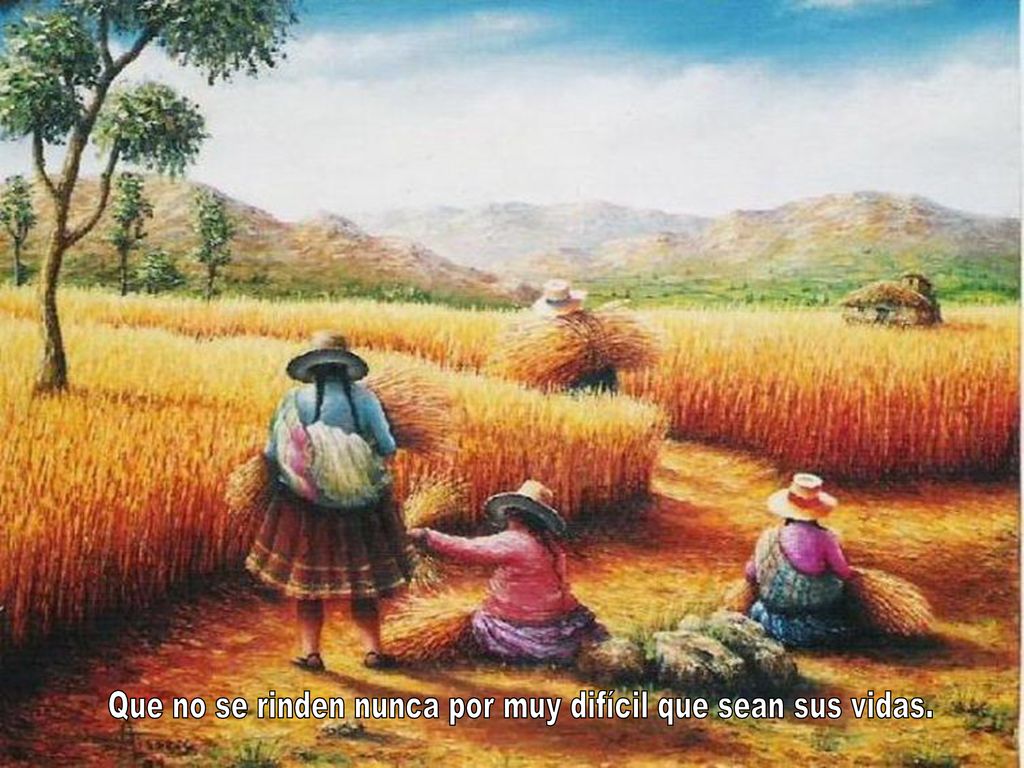 Que no se rinden nunca por muy difícil que sean sus vidas.