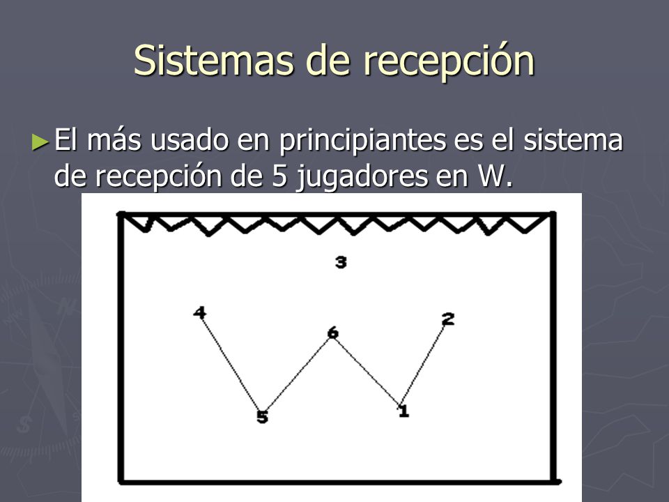 Sistemas de recepción El más usado en principiantes es el sistema de recepción de 5 jugadores en W.