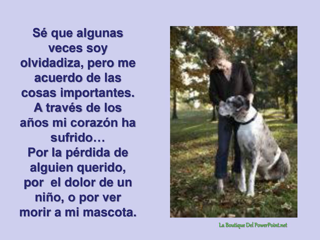 A través de los años mi corazón ha sufrido…