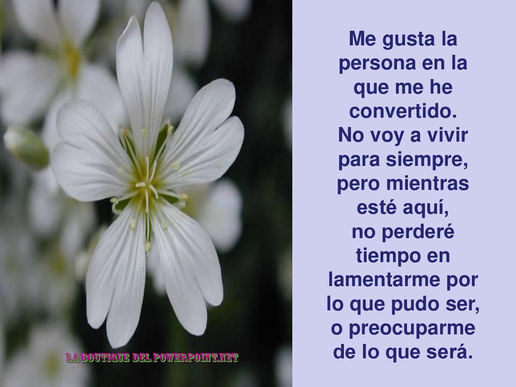 Me gusta la persona en la que me he convertido.