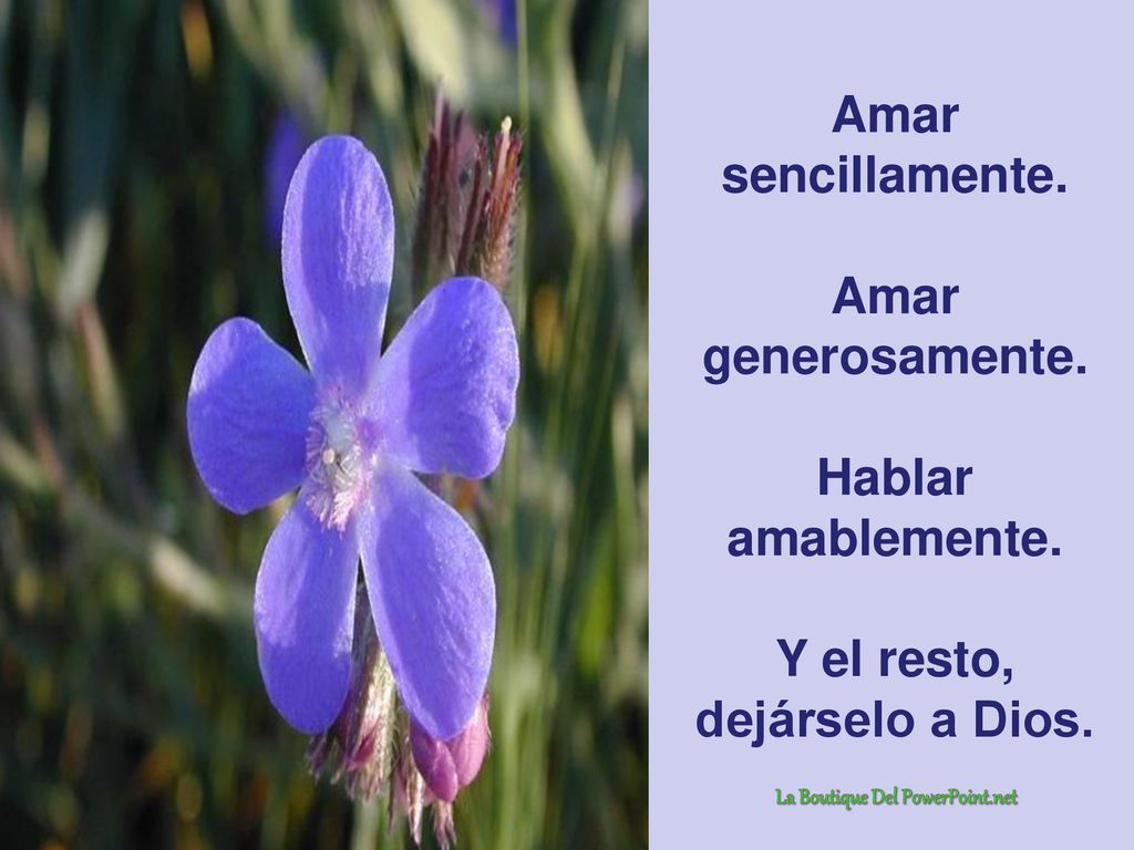 Y el resto, dejárselo a Dios. La Boutique Del PowerPoint.net