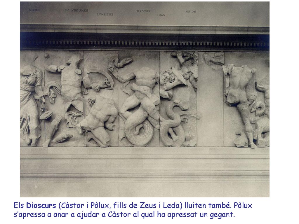 Els Dioscurs (Càstor i Pòlux, fills de Zeus i Leda) lluiten també