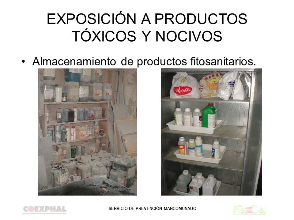 EXPOSICIÓN A PRODUCTOS TÓXICOS Y NOCIVOS