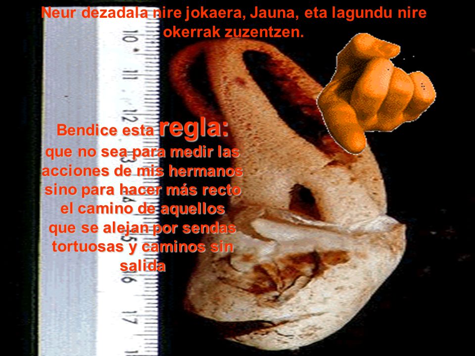 Neur dezadala nire jokaera, Jauna, eta lagundu nire okerrak zuzentzen.