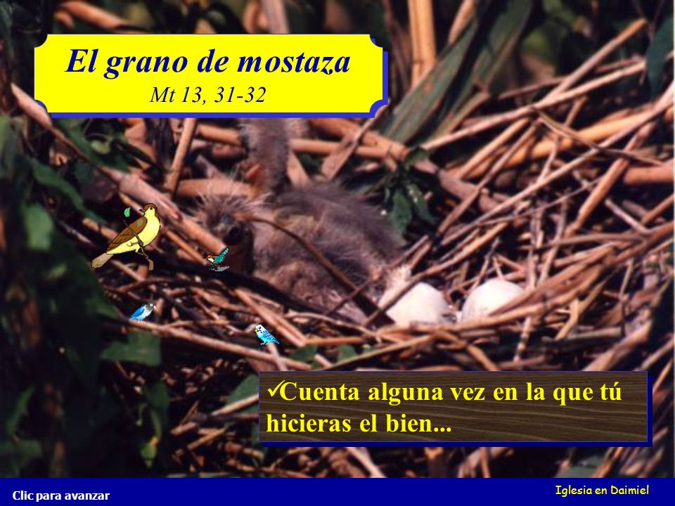 El grano de mostaza Mt 13, ¿Qué tiene más seguidores el buen ejemplo o el malo Cuenta alguna vez en la que tú hicieras el bien...