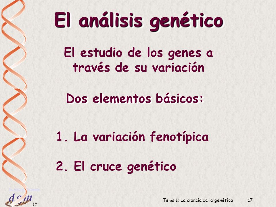 El análisis genético El estudio de los genes a través de su variación