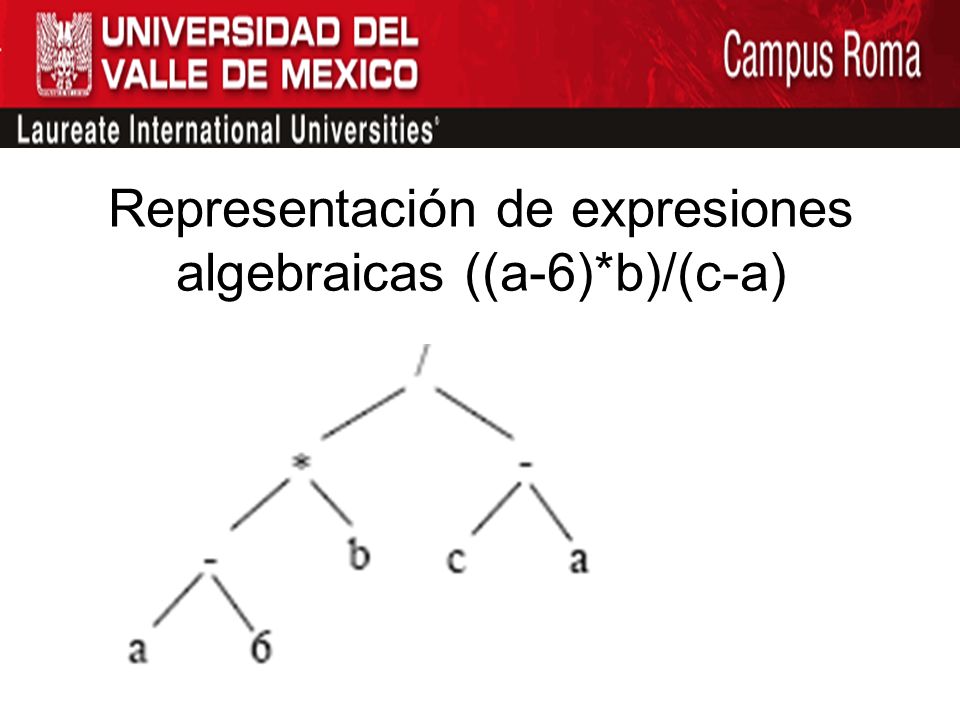 Representación de expresiones algebraicas ((a-6)*b)/(c-a)