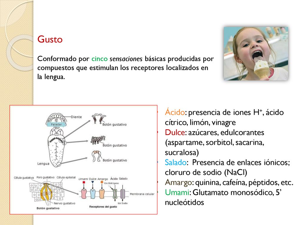 Gusto Ácido: presencia de iones H+, ácido cítrico, limón, vinagre