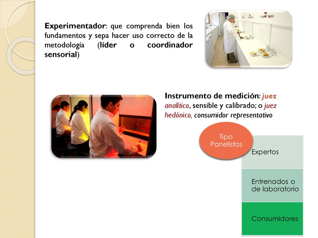 Experimentador: que comprenda bien los fundamentos y sepa hacer uso correcto de la metodología (líder o coordinador sensorial)