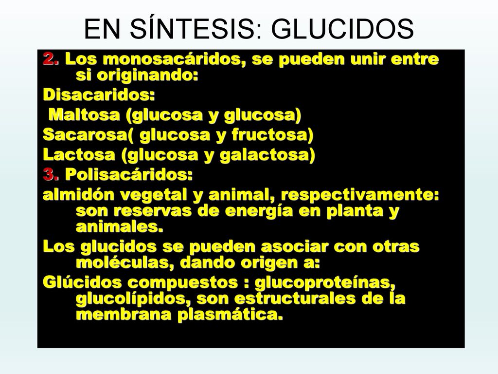 EN SÍNTESIS: GLUCIDOS 2. Los monosacáridos, se pueden unir entre si originando: Disacaridos: Maltosa (glucosa y glucosa)