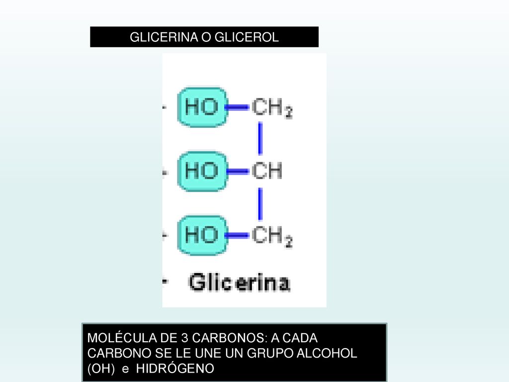 GLICERINA O GLICEROL MOLÉCULA DE 3 CARBONOS: A CADA CARBONO SE LE UNE UN GRUPO ALCOHOL (OH) e HIDRÓGENO.