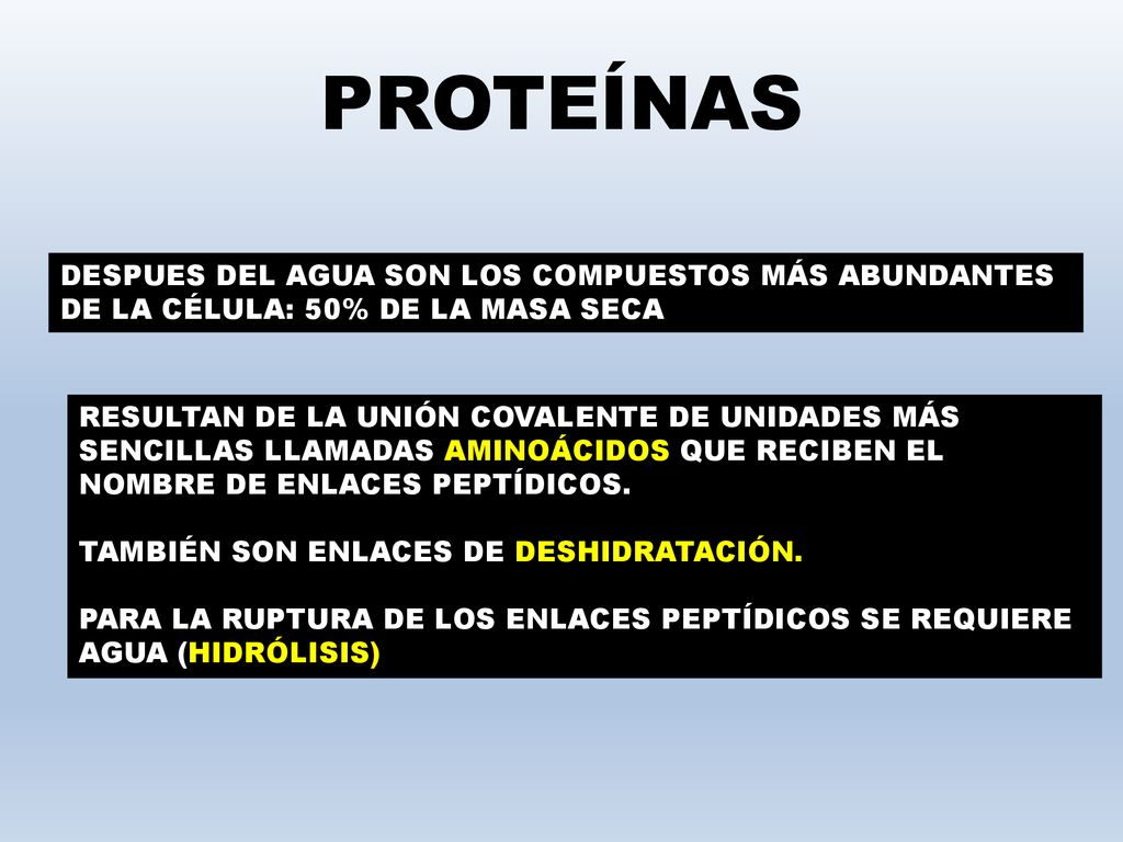 PROTEÍNAS DESPUES DEL AGUA SON LOS COMPUESTOS MÁS ABUNDANTES DE LA CÉLULA: 50% DE LA MASA SECA.