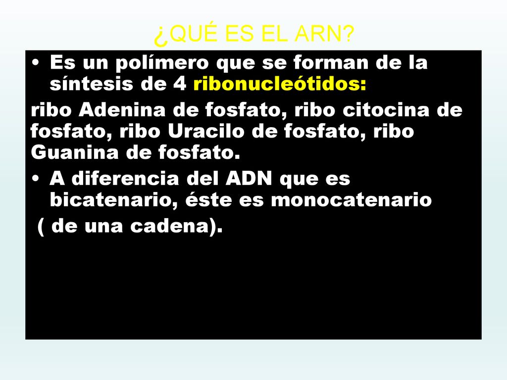 ¿QUÉ ES EL ARN Es un polímero que se forman de la síntesis de 4 ribonucleótidos: