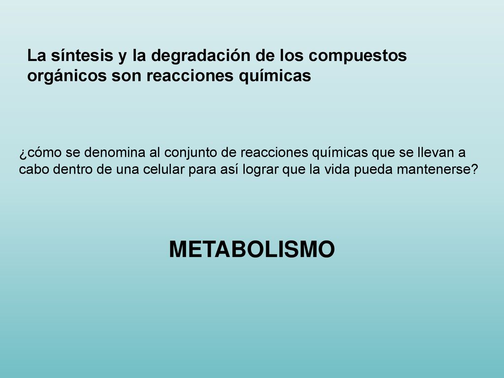La síntesis y la degradación de los compuestos orgánicos son reacciones químicas