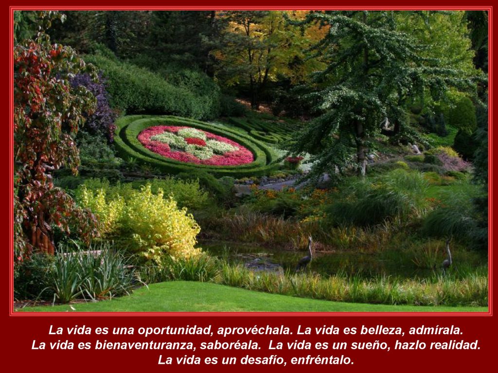 La vida es una oportunidad, aprovéchala. La vida es belleza, admírala