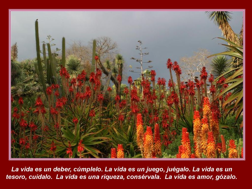 La vida es un deber, cúmplelo. La vida es un juego, juégalo