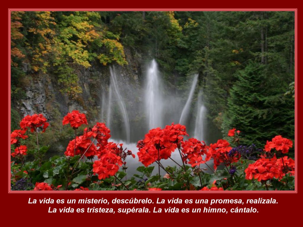La vida es un misterio, descúbrelo. La vida es una promesa, realízala