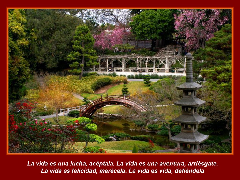 La vida es una lucha, acéptala. La vida es una aventura, arriésgate