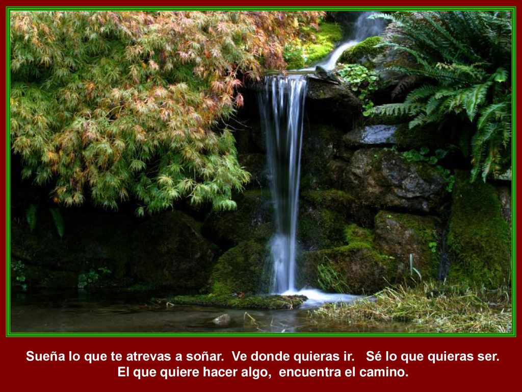Sueña lo que te atrevas a soñar. Ve donde quieras ir