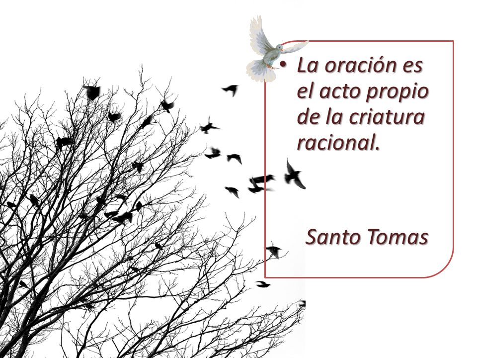 La oración es el acto propio de la criatura racional.