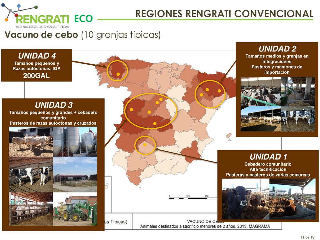 ECO REGIONES RENGRATI CONVENCIONAL Vacuno de cebo (10 granjas típicas)