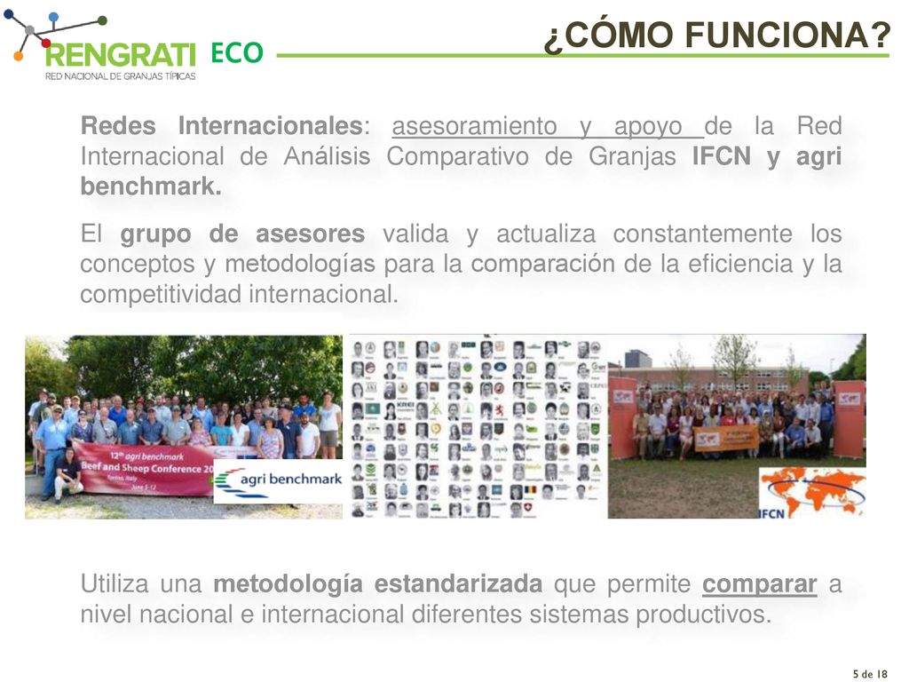 ¿CÓMO FUNCIONA ECO. Redes Internacionales: asesoramiento y apoyo de la Red Internacional de Análisis Comparativo de Granjas IFCN y agri benchmark.
