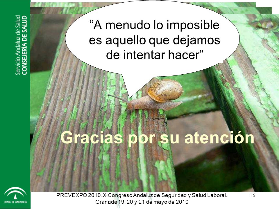 A menudo lo imposible es aquello que dejamos de intentar hacer