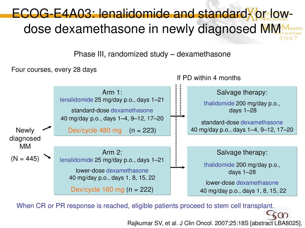 ECOG-E4A03: lenalidomide and standard- or low-dose dexamethasone in newly diagnosed MM