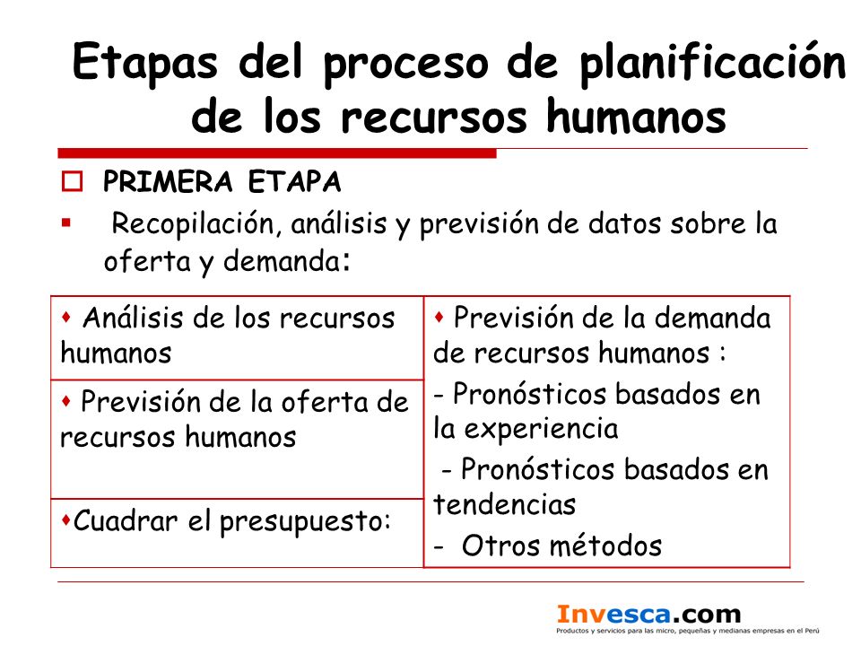 Etapas del proceso de planificación de los recursos humanos