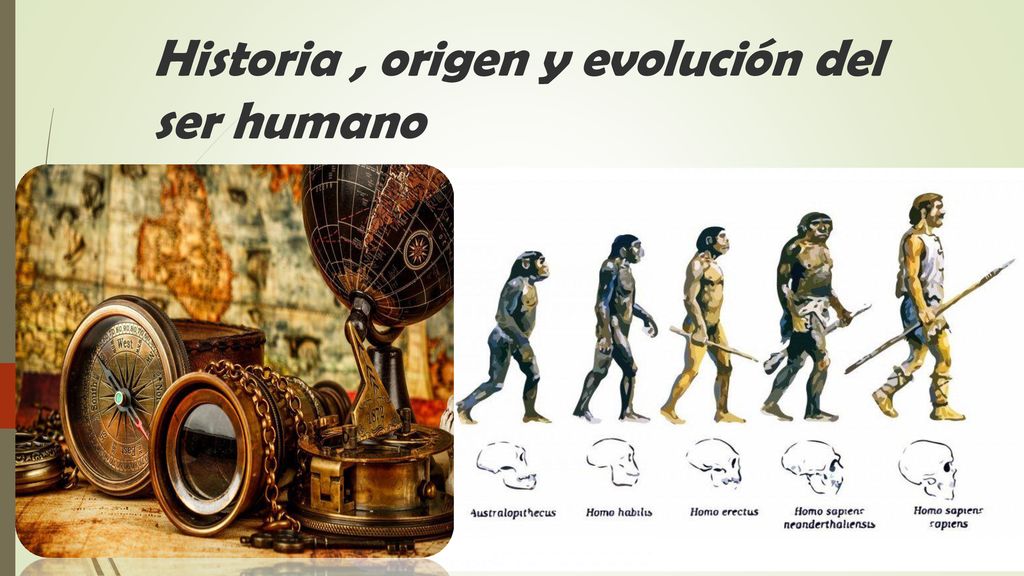 Historia , origen y evolución del ser humano