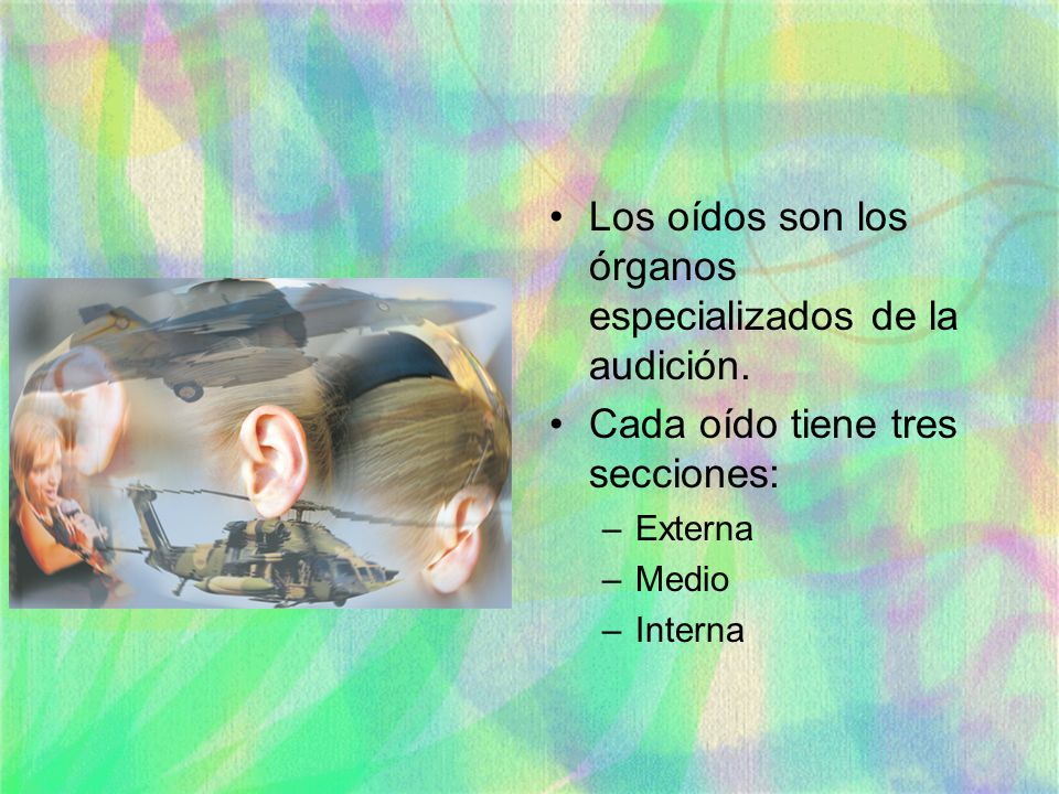Los oídos son los órganos especializados de la audición.